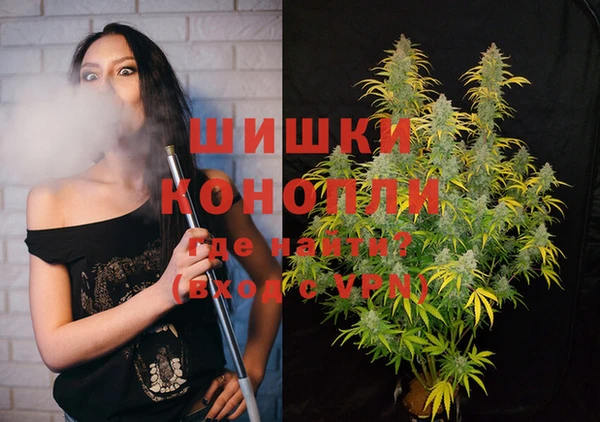 бошки Богданович