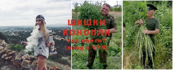 бошки Богданович
