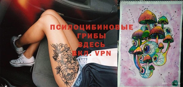 прущая мука Богородицк