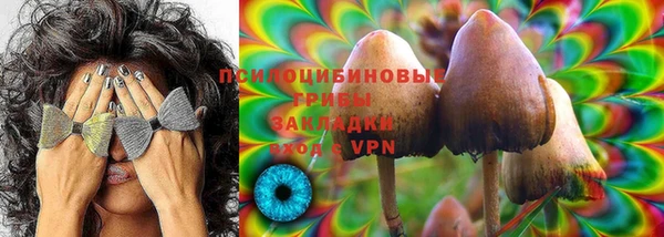 бошки Богданович